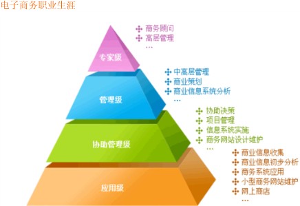 電子商務職業生涯
